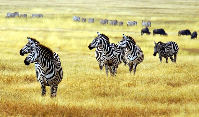 Full Day To Arusha National Park - Entering a park shaped by Mount Meru