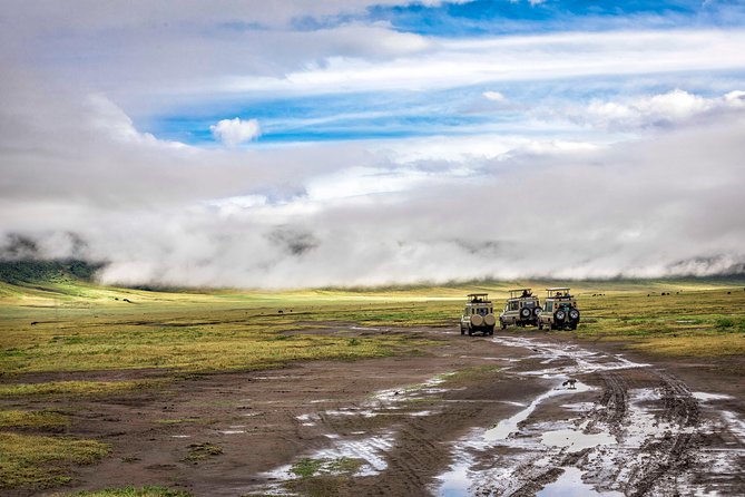 Full Day To Arusha National Park - What the private format adds