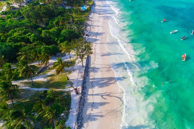Full-day Tour Mnemba Jozani Forest Kuza Cave Paje Beach The Rock - From a 7 a.m. pickup to Zanzibar’s southern coast
