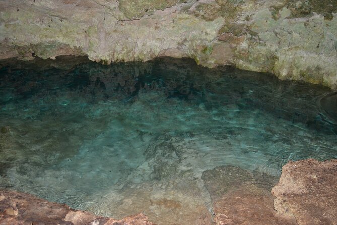 Full-day Tour Mnemba Jozani Forest Kuza Cave Paje Beach The Rock - Paje Beach for a slower hour