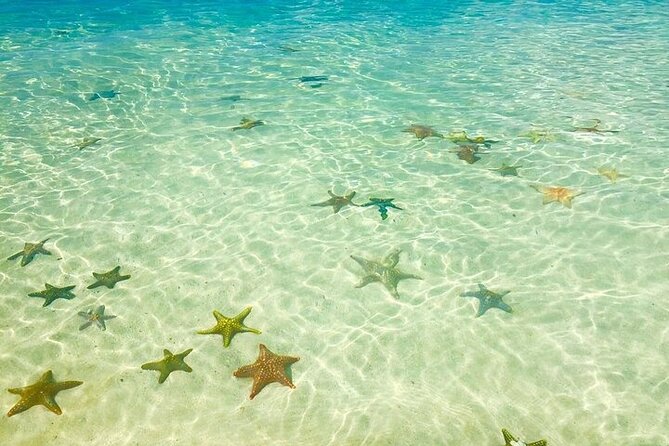 Fullday trip to Pungume and Uzi Island for Snorkeling and more - Uzi Island and the tide problem