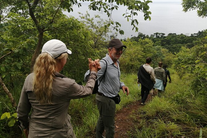Gombe National Park Chimpanzee Trekking - The six-hour park visit