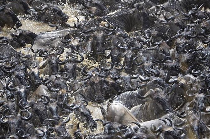 Great Migration Safari In Tanzania - Day 1: Kilimanjaro Airport to Karatu