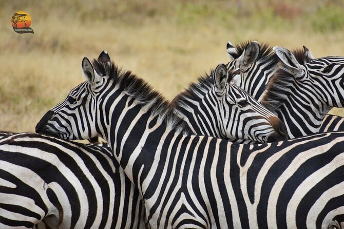 Group Safari 7 Days in Tanzania's Main Parks - Tarangire and the final wildlife day