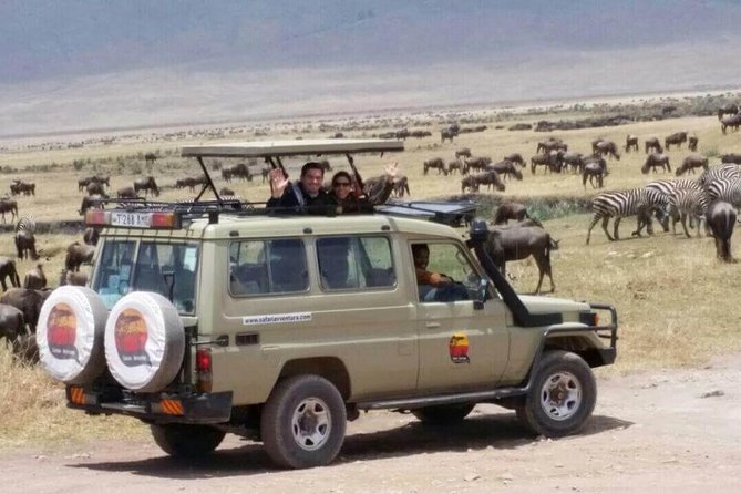 Group Safari 7 Days in Tanzania's Main Parks - Accommodation and meals at the right price