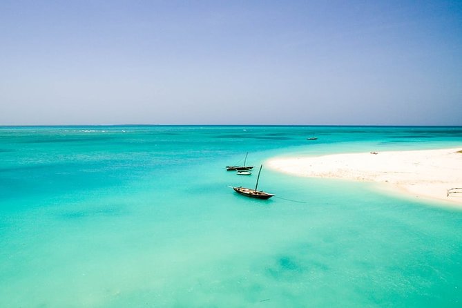 Half-Day Dolphin & Snorkeling Tour in Mnemba Island Zanzibar - The 8:00 am pickup and ride to the coast