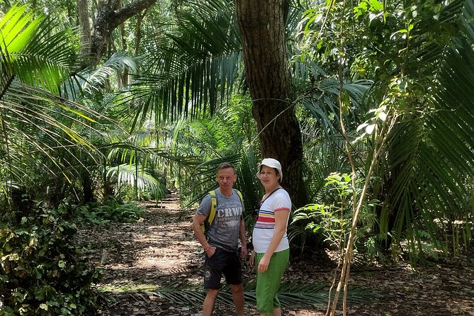 Half-Day Private Jozani Chwaka Bay Forest Tour in Zanzibar - How this compares with a basic sightseeing stop