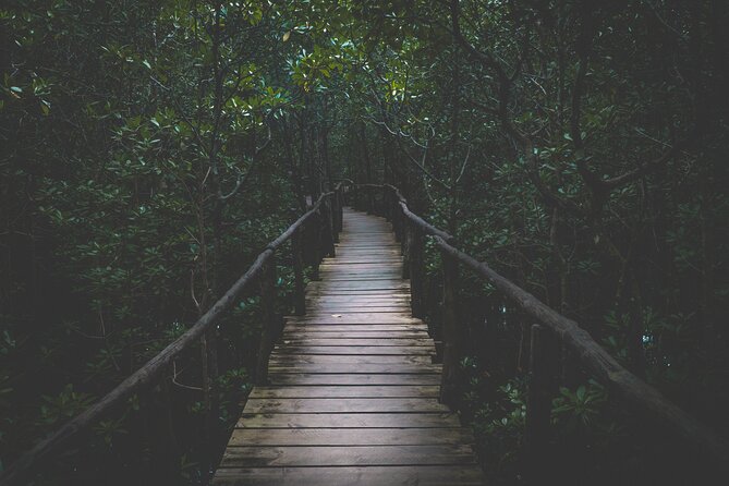 Half-Day Private Jozani Chwaka Bay Forest Tour in Zanzibar - Walking through the forest and mangroves