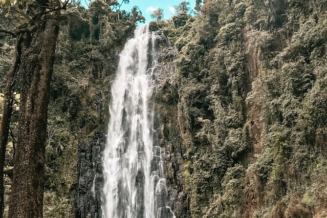 Half-Day Private Tour to Materuni Waterfalls and Coffee excursion - The Coffee Farm and Traditional Preparation