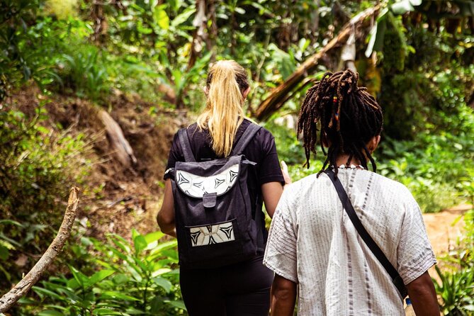Half-Day Private Tour to Materuni Waterfalls and Coffee excursion - Timing, Weather, and Practical Planning