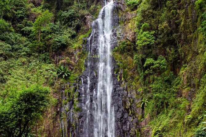 Half-Day Private Tour to Materuni Waterfalls and Coffee excursion - Who Will Enjoy This Tour Most