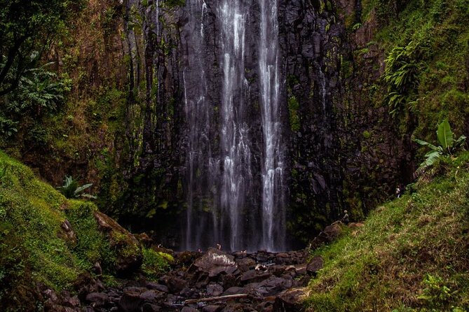 Half-Day Private Tour to Materuni Waterfalls and Coffee excursion - Should You Book Materuni Waterfalls and Coffee?