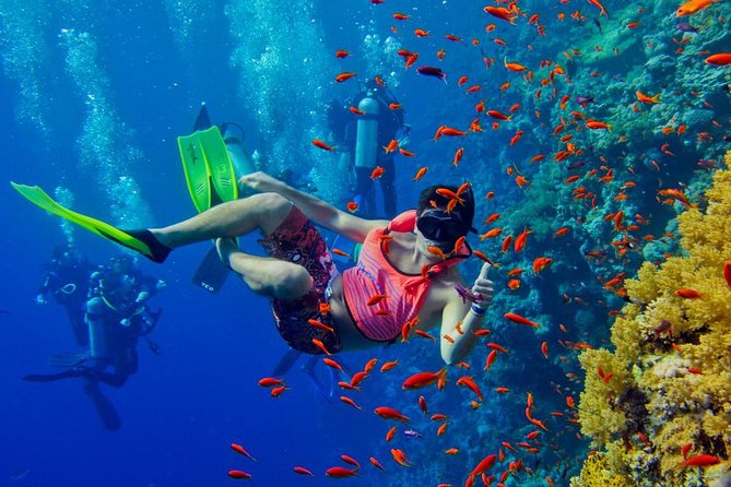 Half Day Zanzibar Mnemba Atoll Marine Reserve Snorkeling Tour - Reaching Mnemba from Zanzibar’s northeast coast