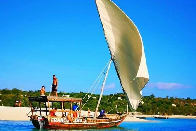 Half Day Zanzibar Mnemba Atoll Marine Reserve Snorkeling Tour - Who will enjoy this most?