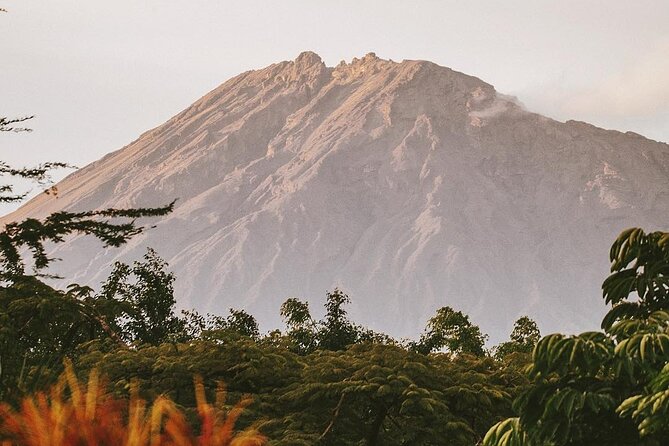 Hidden Arusha Waterfall, Coffee & Village Tour (All-Inclusive) - Honey, spices, banana wine, and a proper lunch