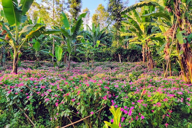Hidden Arusha Waterfall, Coffee & Village Tour (All-Inclusive) - The final panorama from Akheri
