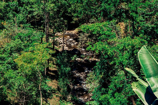 Hidden Arusha Waterfall, Coffee & Village Tour (All-Inclusive) - Guides, language, and the personal feel