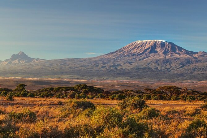 Hiking Mt Kilimanjaro 7 days scenic route & moderate challenge - Day 3: The important Lava Tower acclimatization day