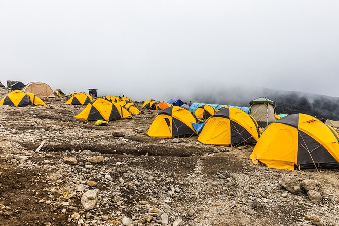 Hiking Mt Kilimanjaro 7 days scenic route & moderate challenge - Day 5: Karanga to exposed Barafu Camp