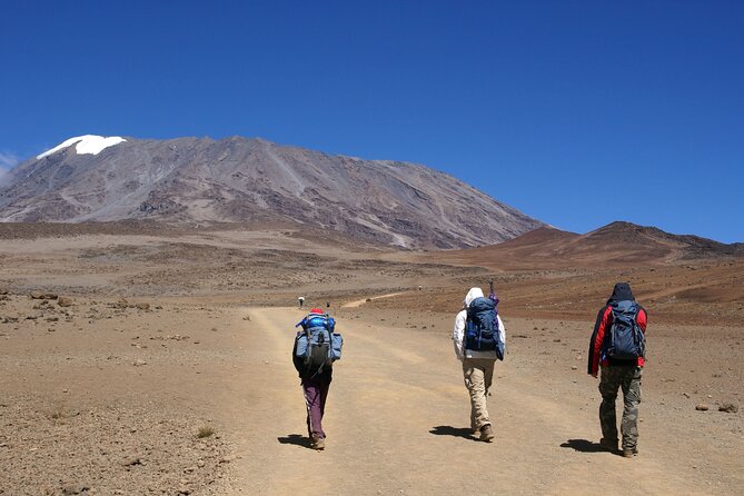 Hiking Mt Kilimanjaro 8 days, the most scenic route up Kili - Why Lemosho is the best choice for scenery