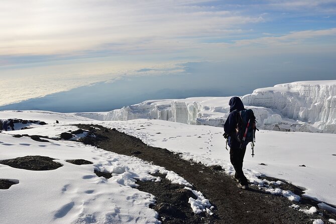 Hiking Mt Kilimanjaro 8 days, the most scenic route up Kili - Day 2: Crossing from forest to Shira One