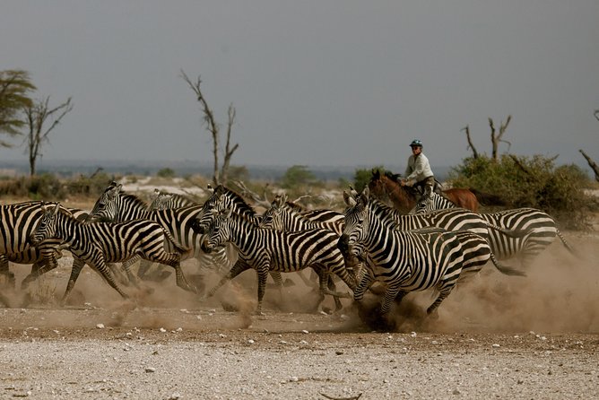 Horse safaris in Tanzania - What makes this Arusha horse safari appealing