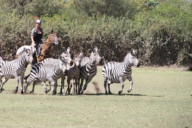 Horse safaris in Tanzania - Zebra, wildebeest, antelope, and monkeys