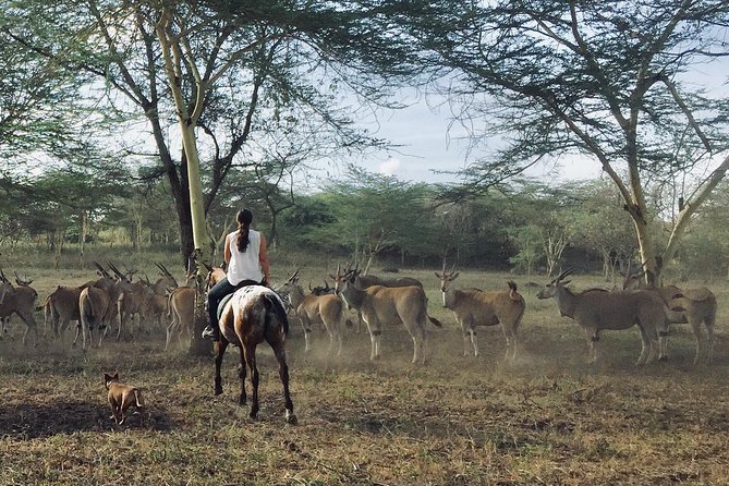 Horse safaris in Tanzania - How the small group changes the experience