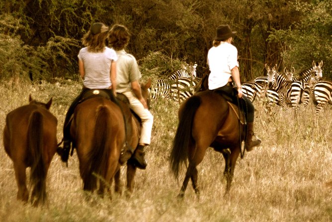 Horse safaris in Tanzania - The gentle route through the estate