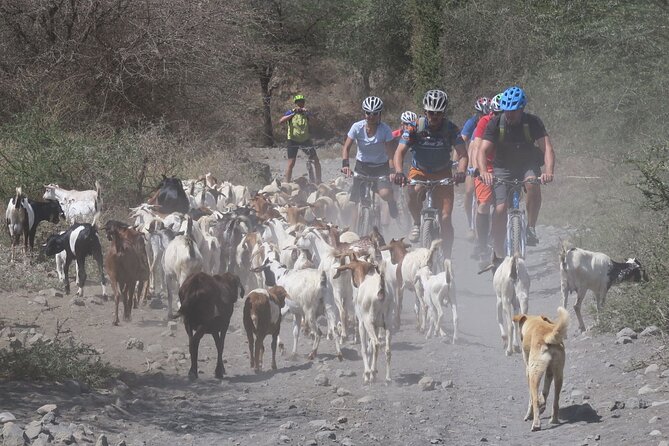 Hot Springs Bike tour - Why this ride is more than a trip to a swimming hole