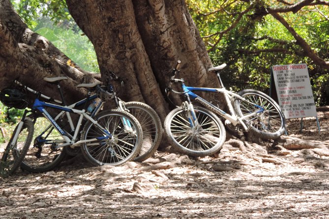 Hot Springs Bike tour - The return ride and the full-day rhythm