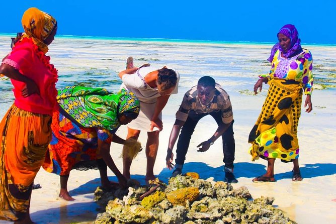 Jambiani Village Women at work and play - Key points to know before you book