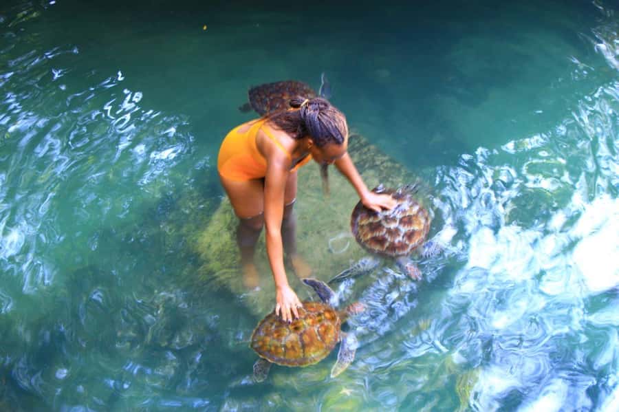 Joazani forest & Spice farm with lunch - From forest shade to the Zanzibar spice farm