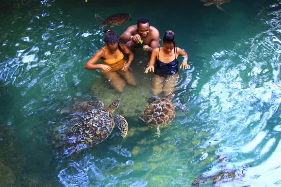 Joazani forest & Spice farm with lunch - Is the $99 price good value?
