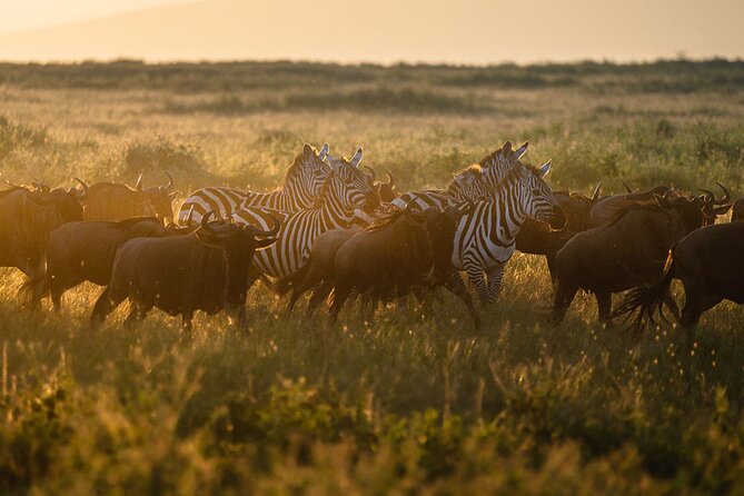 Joining Safari from Mwanza - Meals and the rhythm of the days