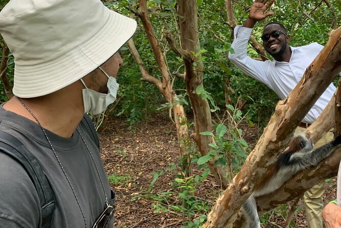 Jozani Forest - Meeting the red colobus monkeys in Jozani Forest