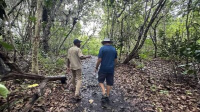 Jozani Forest, kuza cave and mtende beach