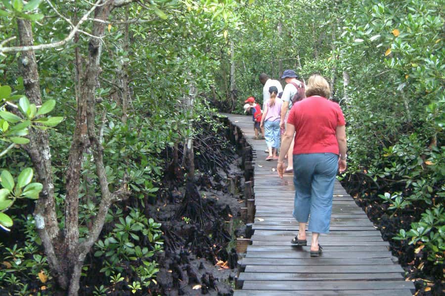 Jozani Forest, kuza cave and mtende beach - Mtende Beach and the final photo stop