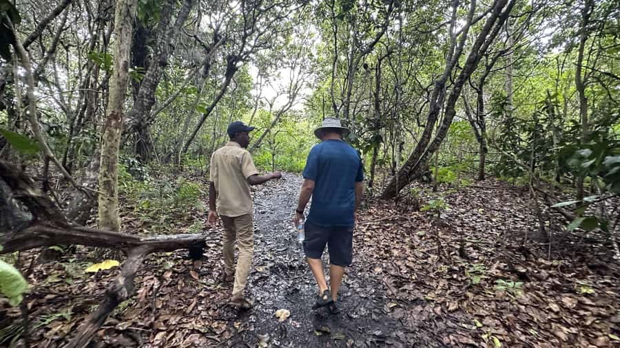 Jozani Forest, kuza cave and mtende beach - Following the trails through Jozani Forest