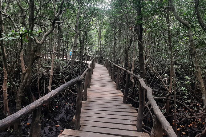 Jozani Forest, Kuza Cave, Paje Beach and The Rock Restaurant - The Rock Restaurant: famous setting, separate dining decision
