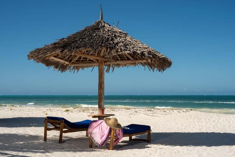 Jozani Forest & Paje Beach Trip with The Rock Restaurant - Why this southern Zanzibar combination works