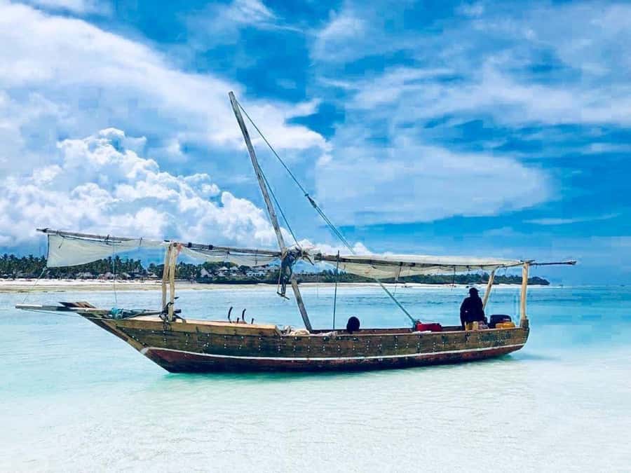 Jozani Forest & Paje Beach Trip with The Rock Restaurant - Should you book the Jozani and Paje trip?