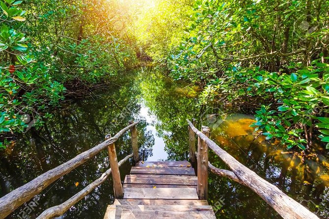 Jozani Forest Reserve Half-Day Guided Tour from Zanzibar - Why Jozani Forest deserves a place on your Zanzibar plans