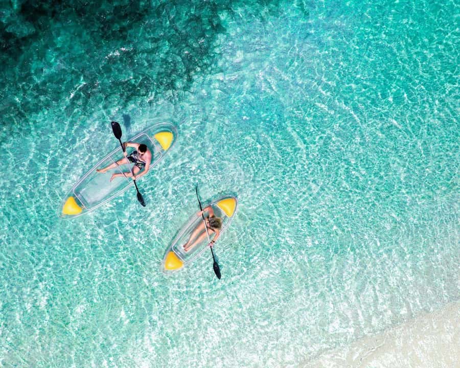 Jozani Forest, Tandem Clear Kayak, The Rock, Paje Beach - Key points to know before booking