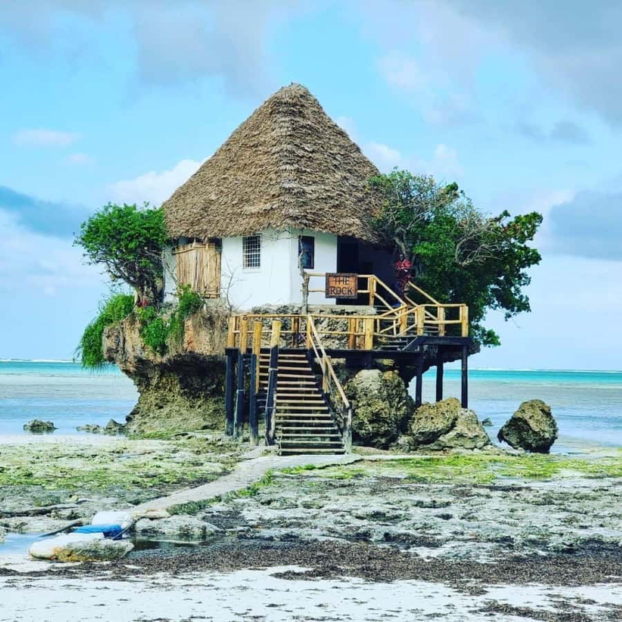 Jozani Forest, Tandem Clear Kayak, The Rock, Paje Beach - Who will enjoy this Zanzibar day most?