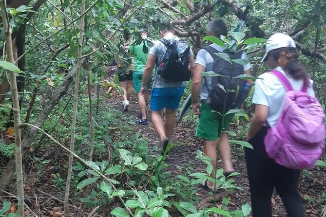 Jozani Forest Tour - The 6:00 a.m. start and private pickup