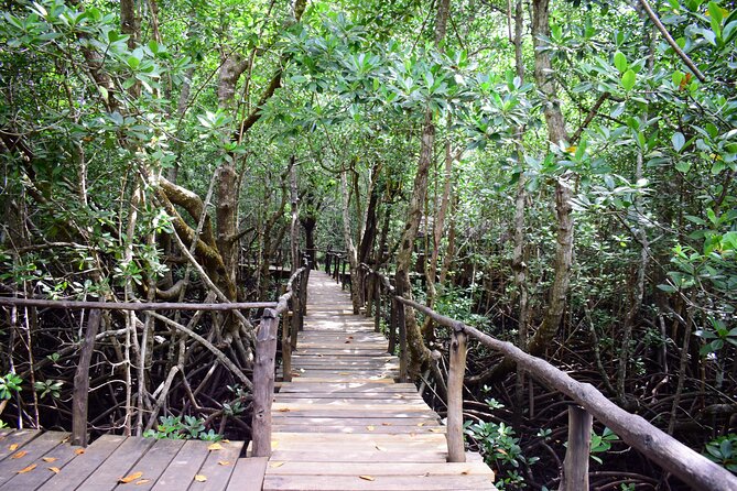 Jozani Forest Tour - Crossing the Pete-Jozani Mangrove Boardwalk