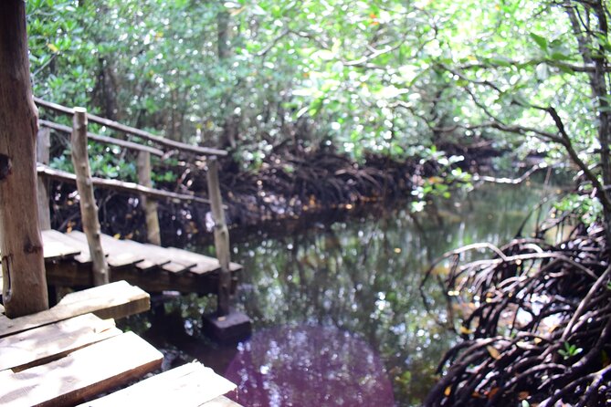 Jozani Forest Tour - Guide quality can shape the entire experience