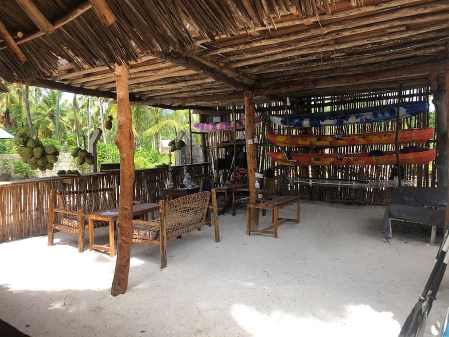 Kayak Mangrove Tour - Who should book this Michamvi kayak trip?