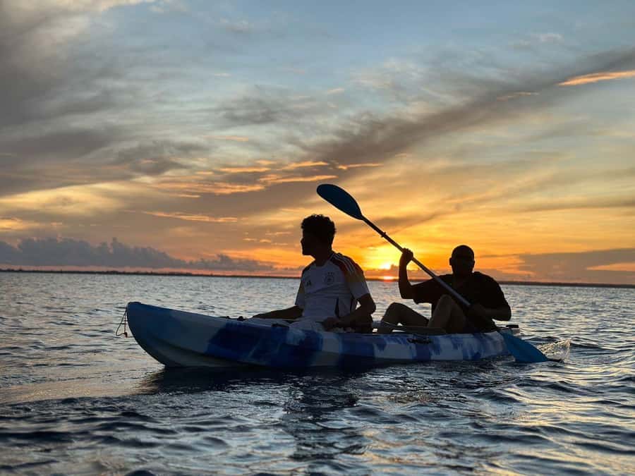 Kayak Mangrove Tour - Why the mangroves feel different from a beach outing